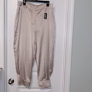 Express Ankle High Rise Pants, NWT
